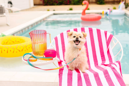 Cleo treat pouch and poop bag holder — additional photo 7