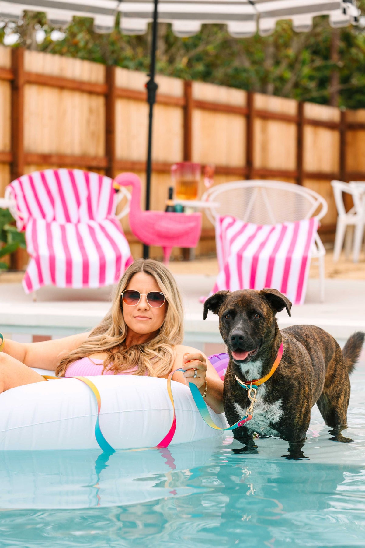 Pippa dog collar — additional photo 8