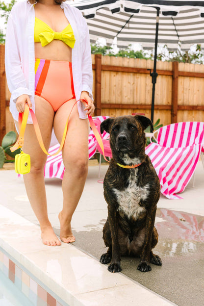 Katelin dog leash — additional photo 10