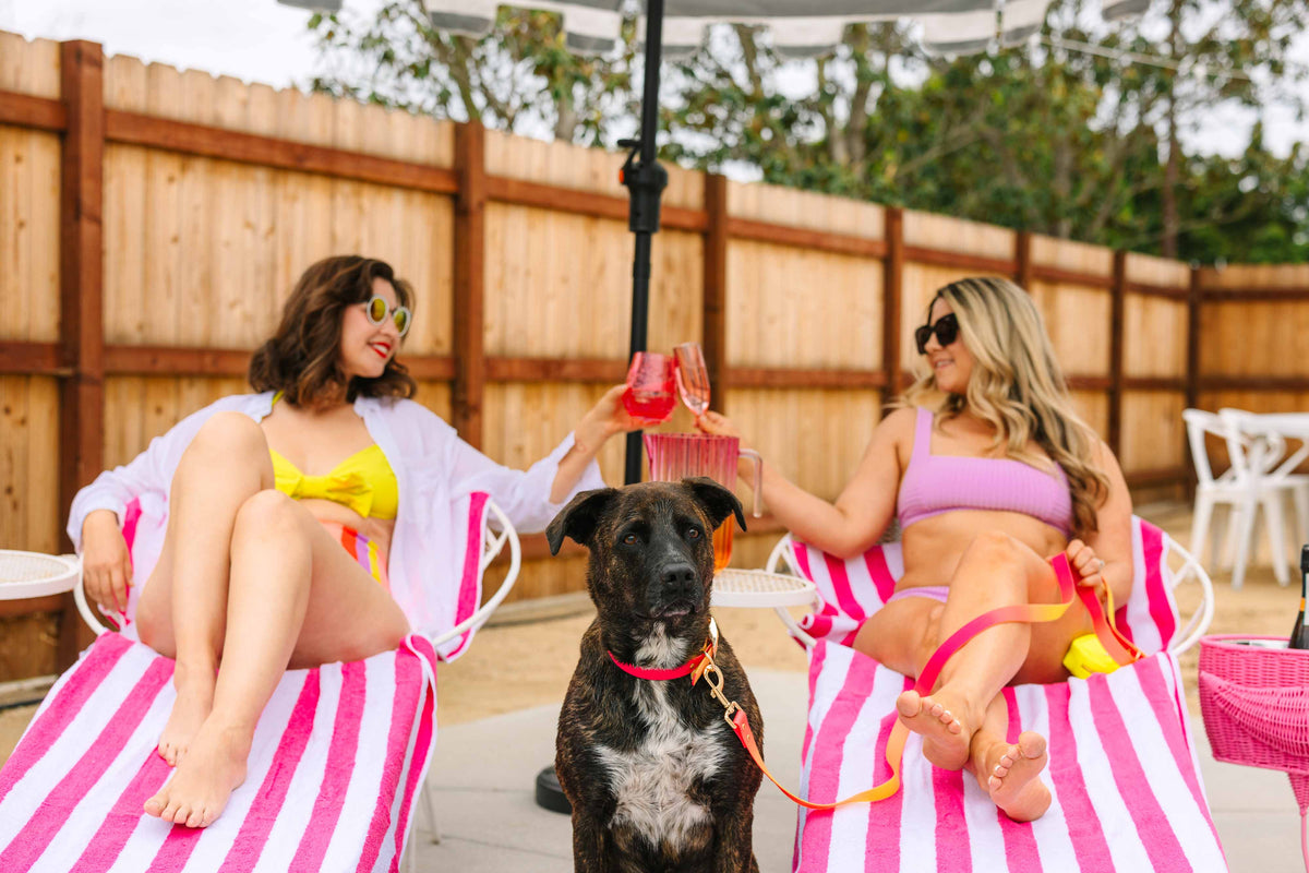 Katelin dog leash — additional photo 11