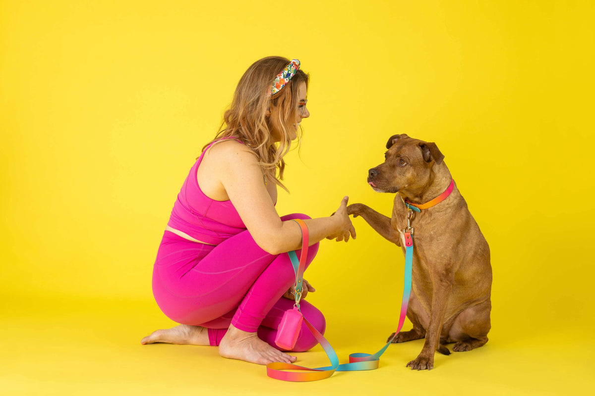 Pippa dog collar — additional photo 15