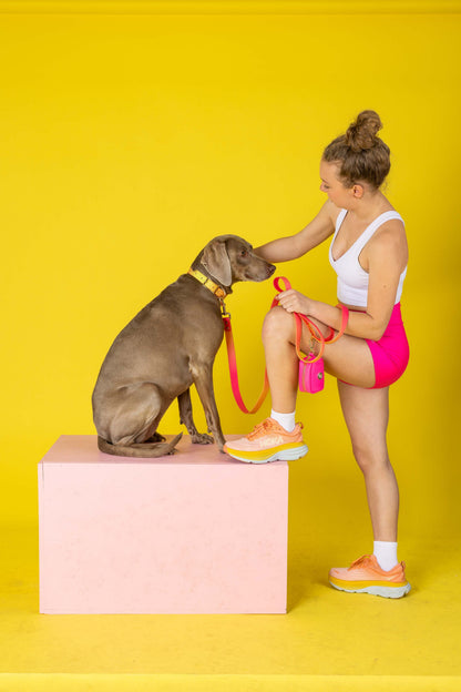 Katelin dog collar — additional photo 21