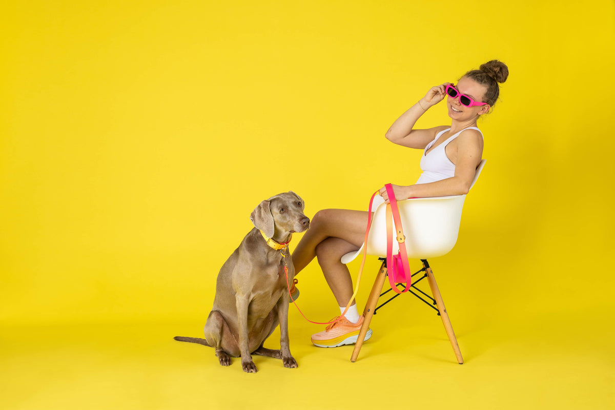 Katelin dog leash — additional photo 21
