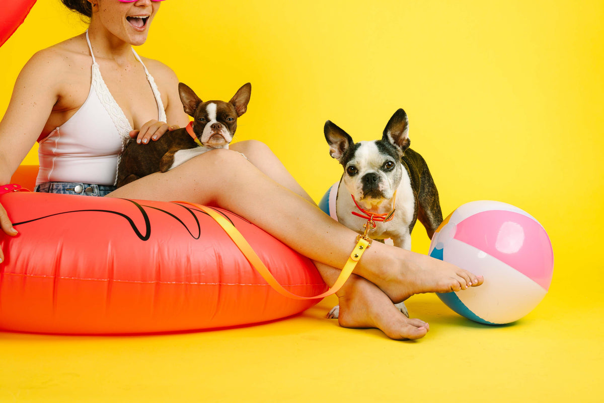 Katelin dog leash — additional photo 15