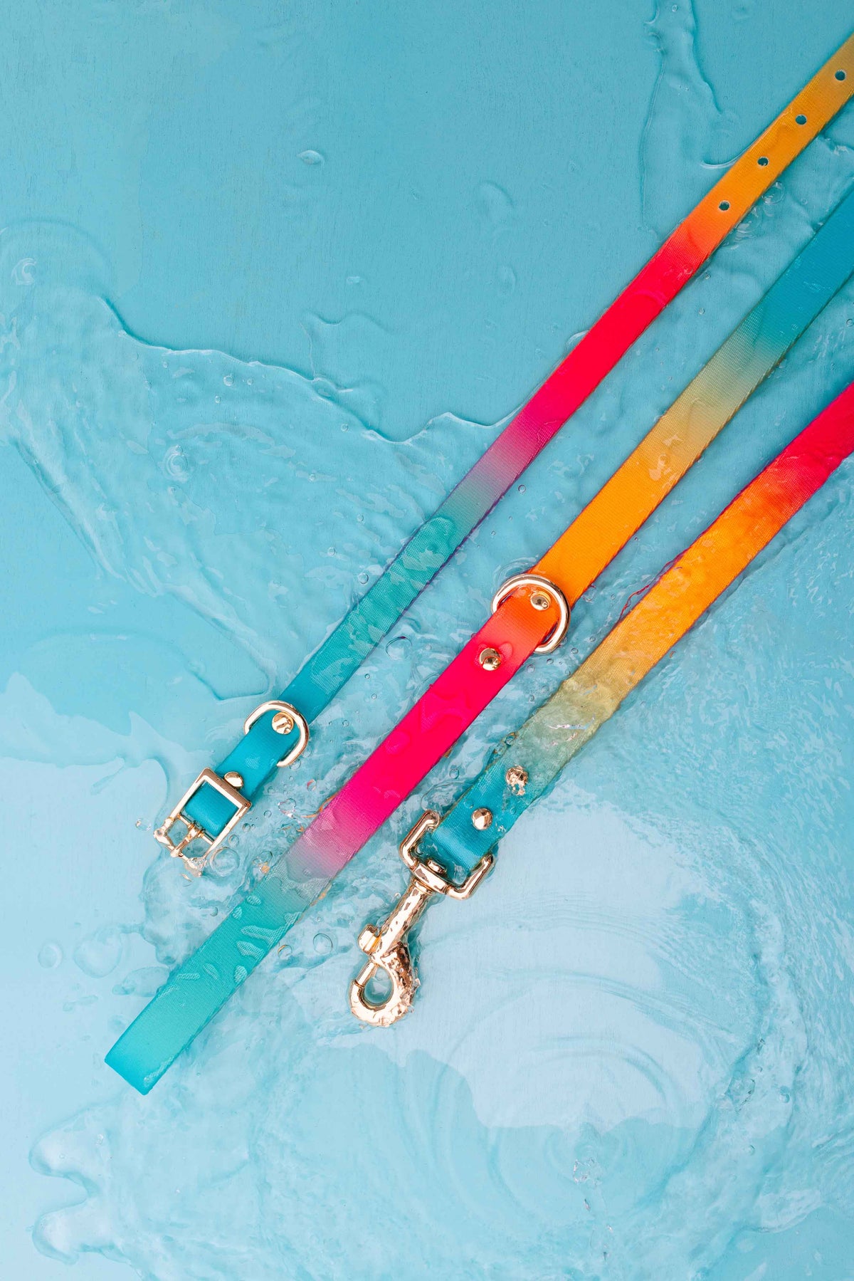 Pippa dog collar — additional photo 5