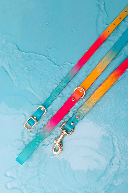 Pippa dog collar — additional photo 5