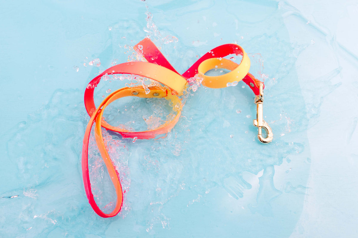 Katelin dog leash — additional photo 3