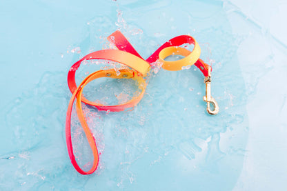 Katelin dog leash — additional photo 3