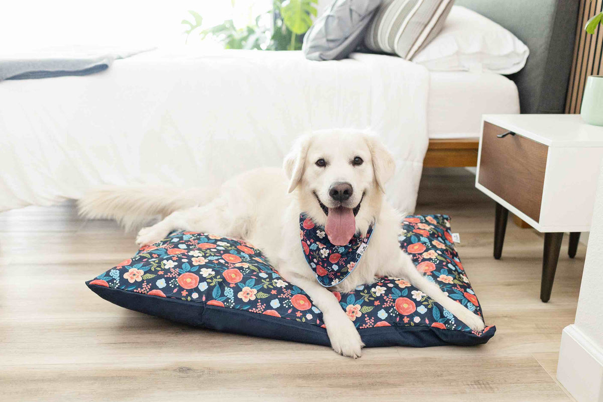 Riley dog bandana — additional photo 3