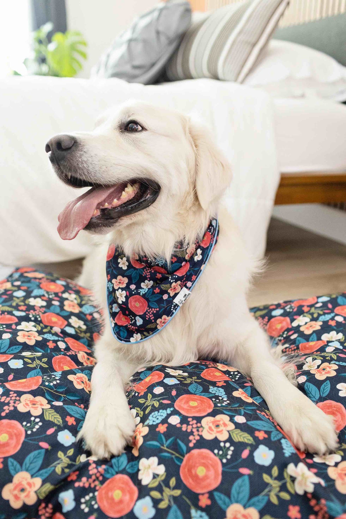 Riley dog bandana — additional photo 2