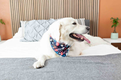 Riley dog bandana — additional photo 5