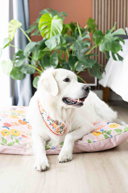 Penelope dog bandana — additional photo 2