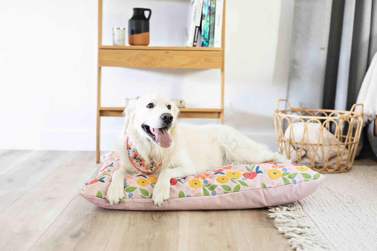 Penelope dog bandana — additional photo 3