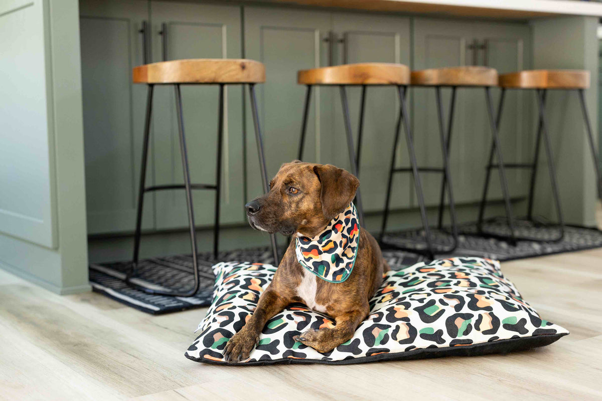 Beckett dog bandana — additional photo 2