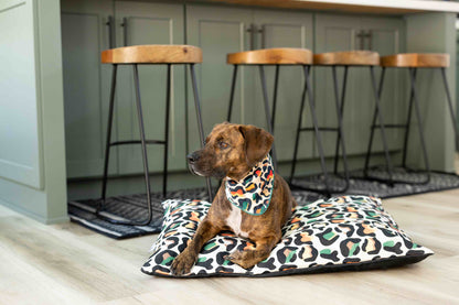 Beckett dog bandana — additional photo 2