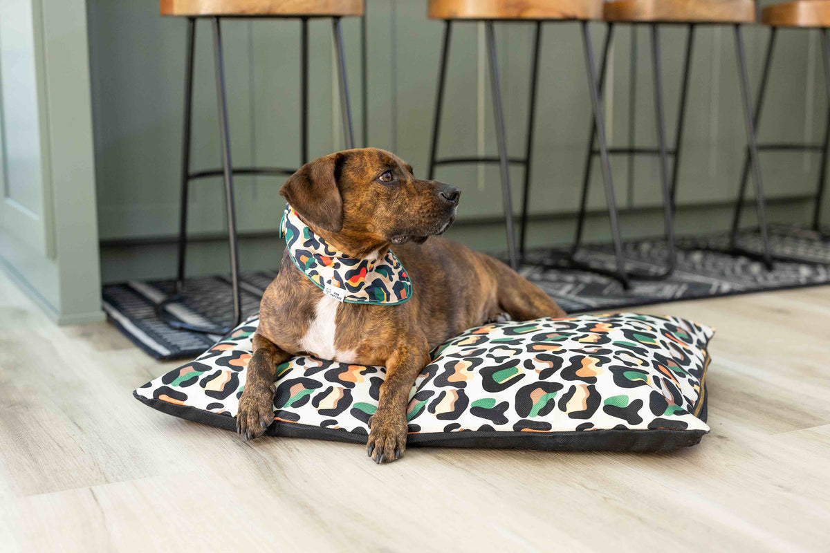 Beckett dog bandana — additional photo 3