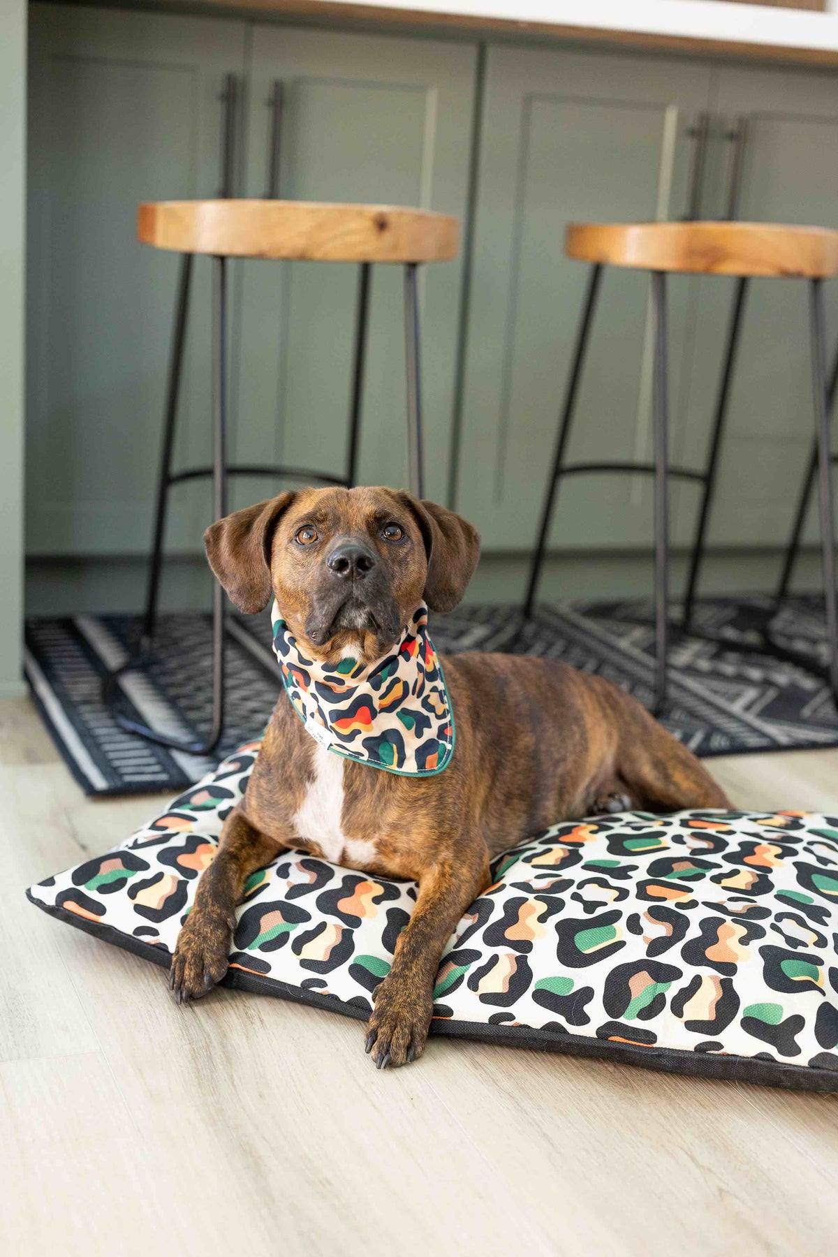 Beckett dog bandana — additional photo 5