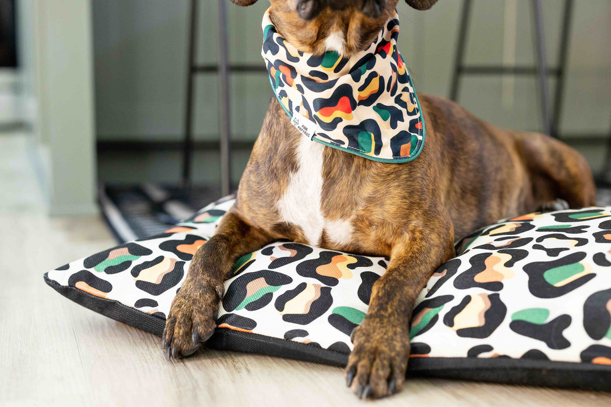 Beckett dog bandana — additional photo 4