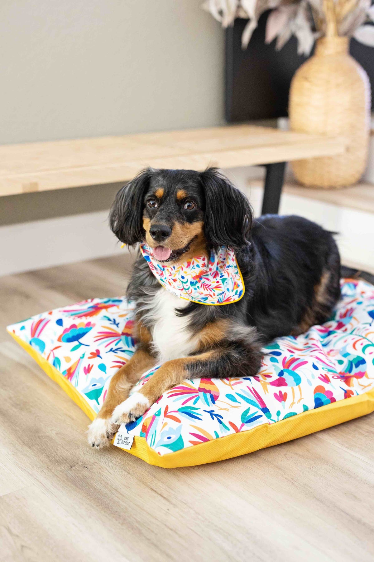 Yesenia dog bandana — additional photo 4