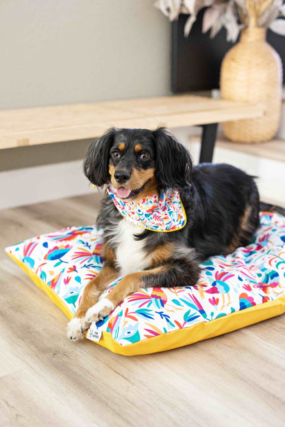 Yesenia dog bandana — additional photo 4