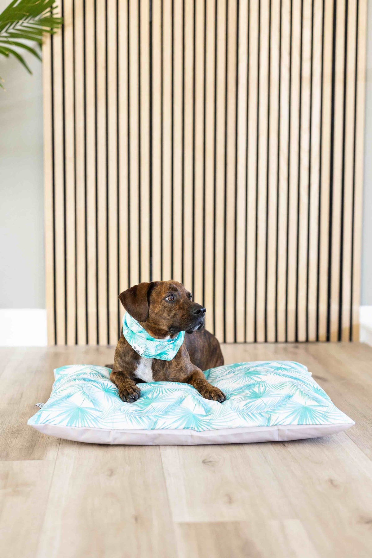 Capri dog bandana — additional photo 3