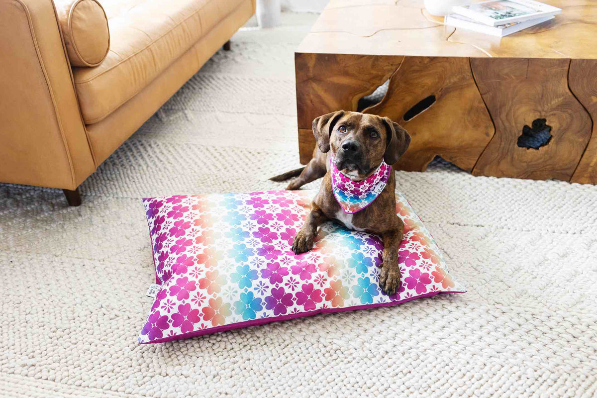 Everly dog bandana — additional photo 2