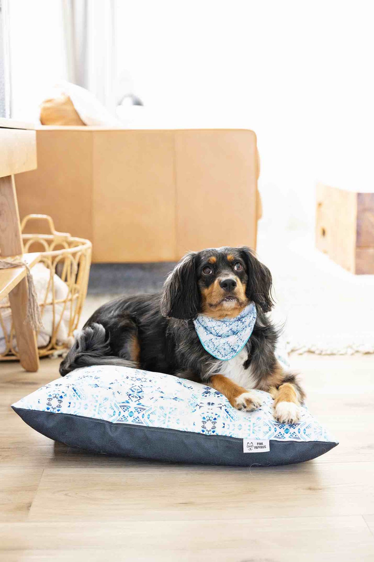 Koa dog bandana — additional photo 2