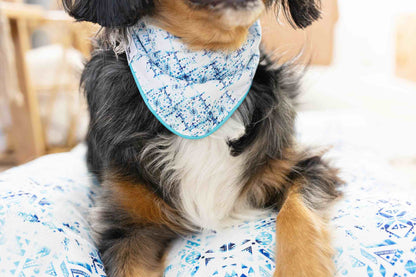 Koa dog bandana — additional photo 3