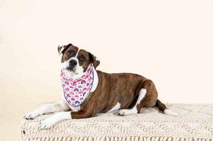 Clarke dog bandana — additional photo 3