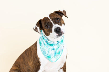 Capri dog bandana — additional photo 2