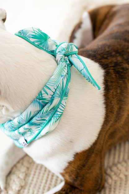 Capri dog bandana — additional photo 4