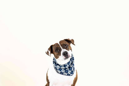 Ryder dog bandana — additional photo 2