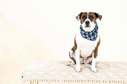 Ryder dog bandana — additional photo 3