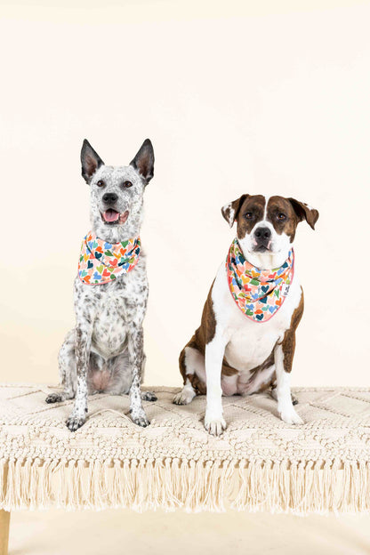 Amelia dog bandana — additional photo 5