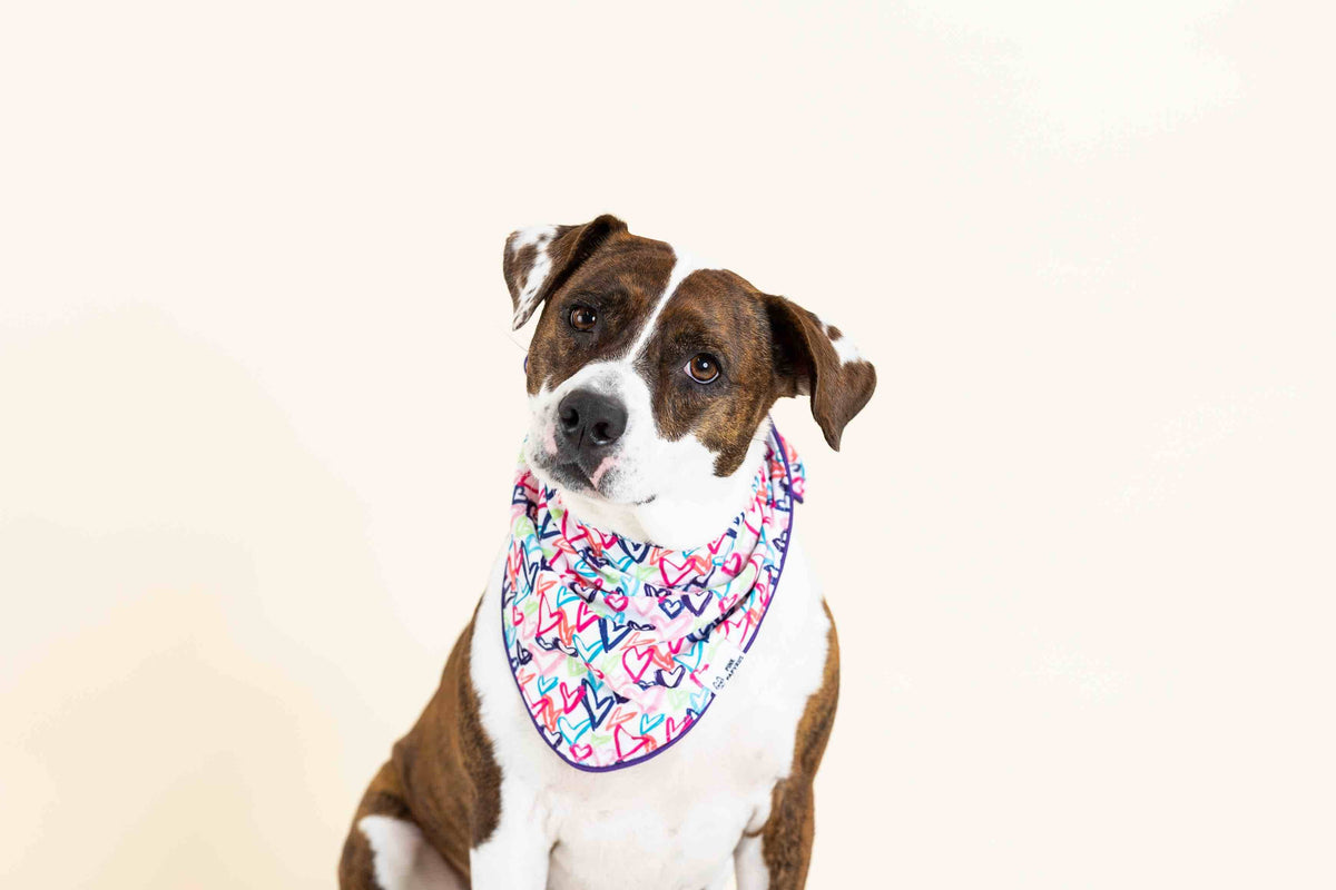 Giselle dog bandana — additional photo 2