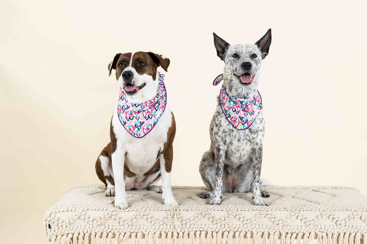 Giselle dog bandana — additional photo 4