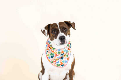 Amelia dog bandana — additional photo 6