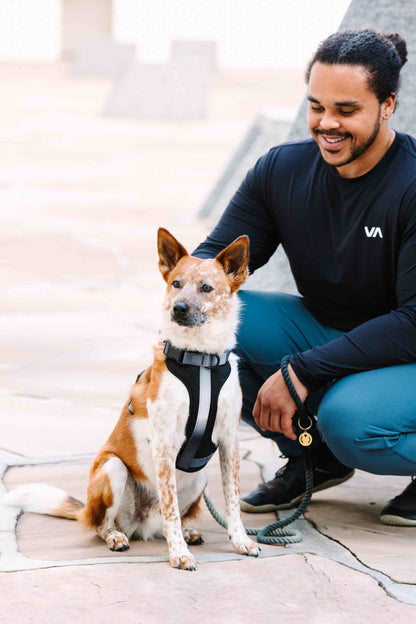 Rowan dog harness — additional photo 7