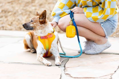 Kenna dog harness — additional photo 9