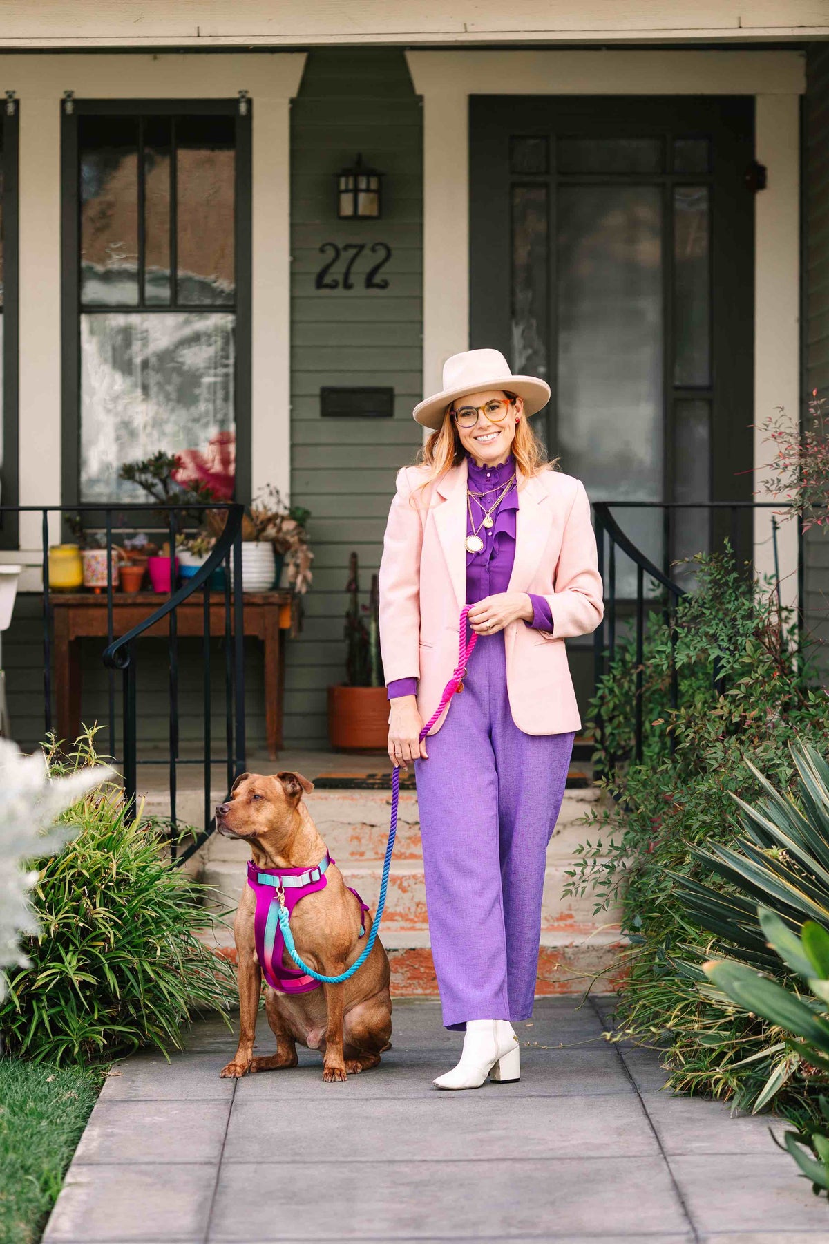 Joana dog harness — additional photo 10