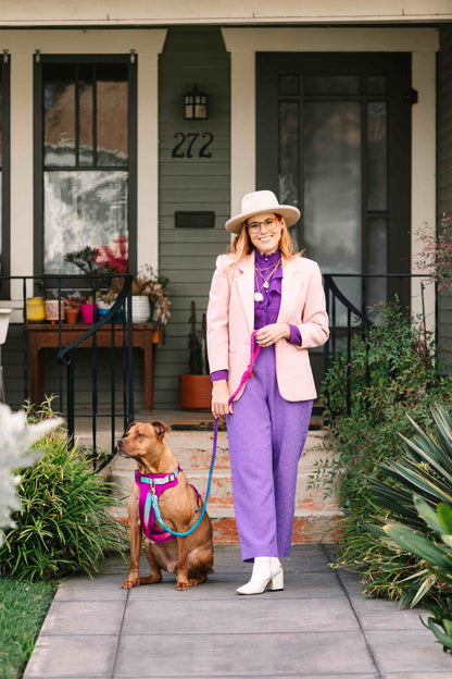 Joana dog harness — additional photo 10