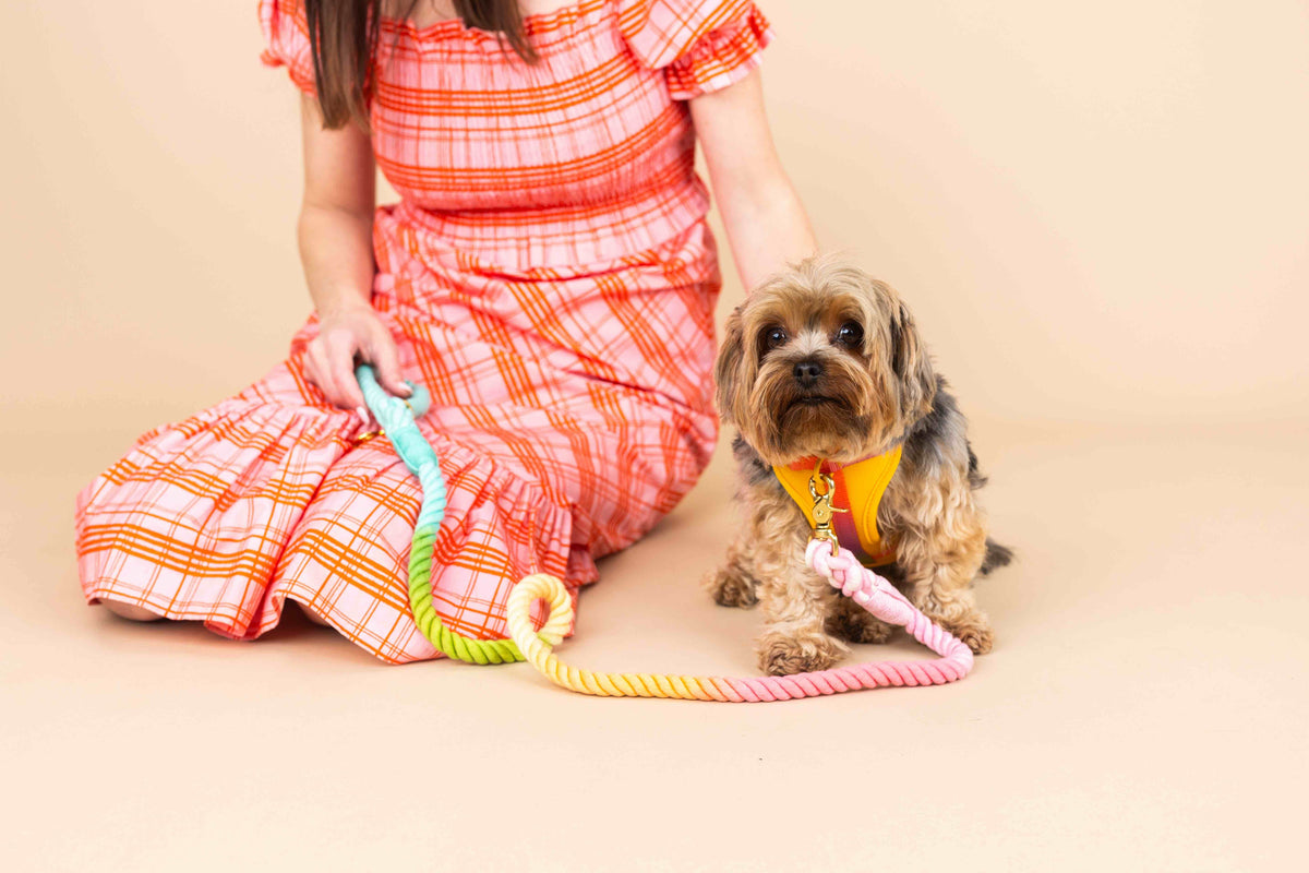 Kenna dog harness — additional photo 4