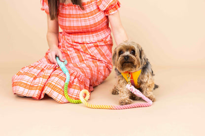 Kenna dog harness — additional photo 4