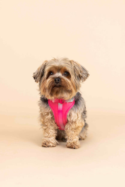 Stasia dog harness — additional photo 5