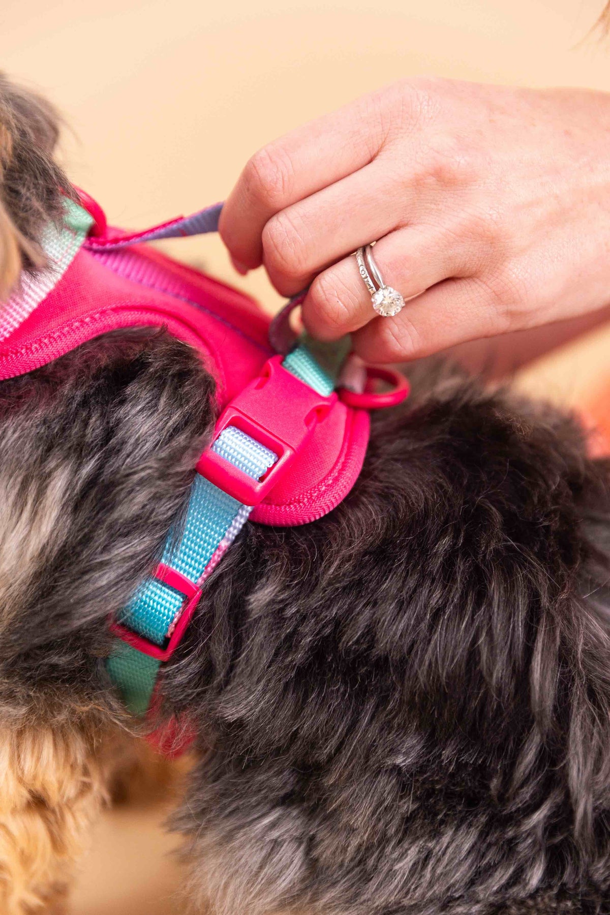 Stasia dog harness — additional photo 16