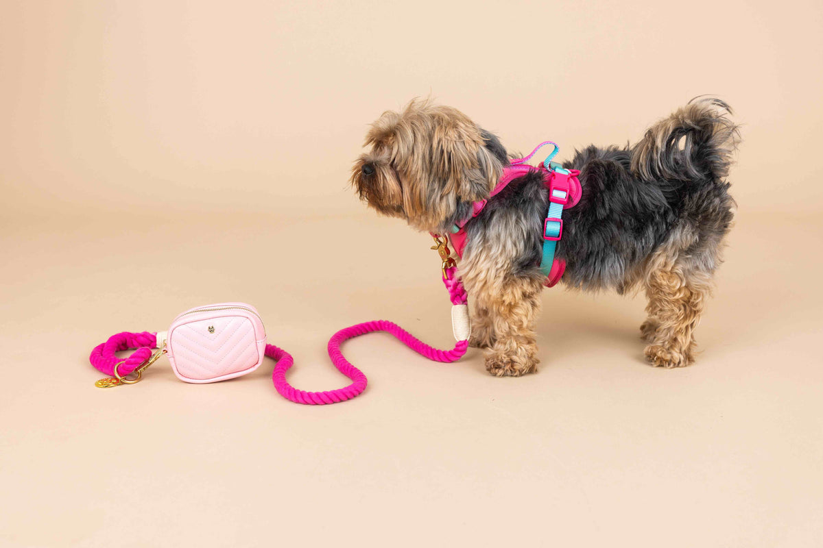 Stasia dog harness — additional photo 7