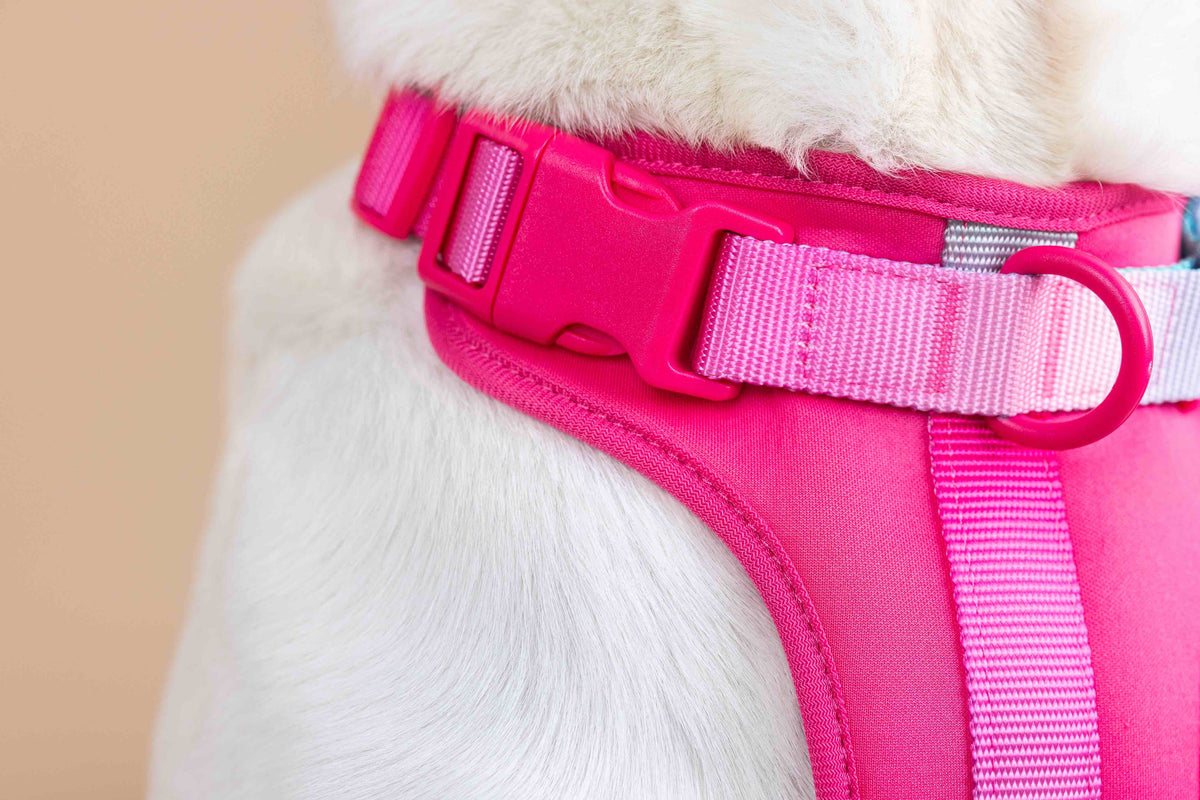 Stasia dog harness — additional photo 14