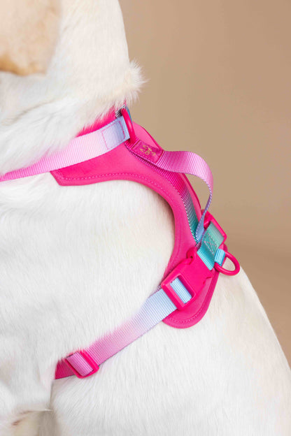 Stasia dog harness — additional photo 15
