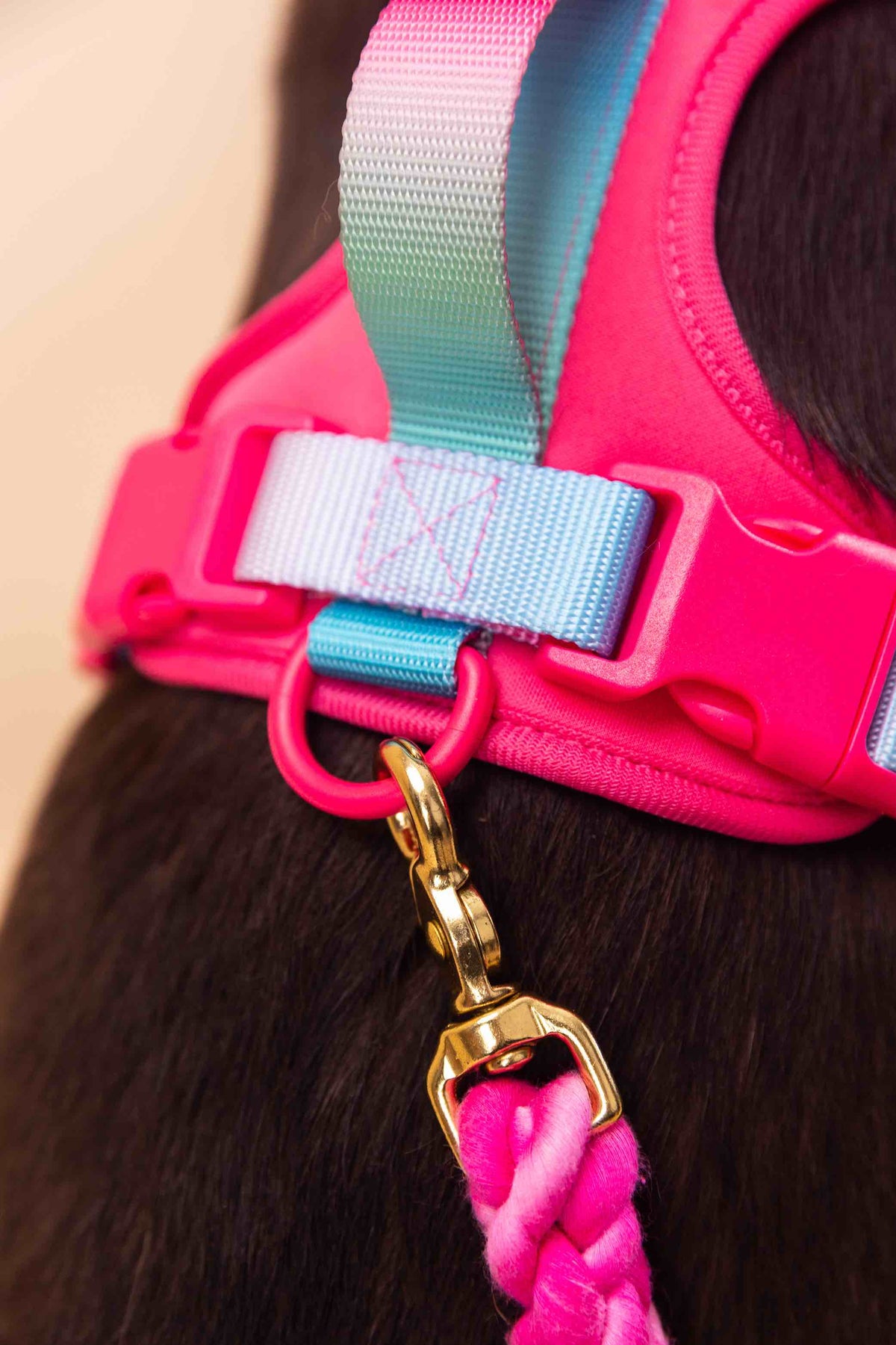 Stasia dog harness — additional photo 12
