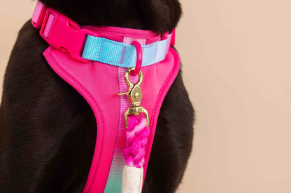 Stasia dog harness — additional photo 13
